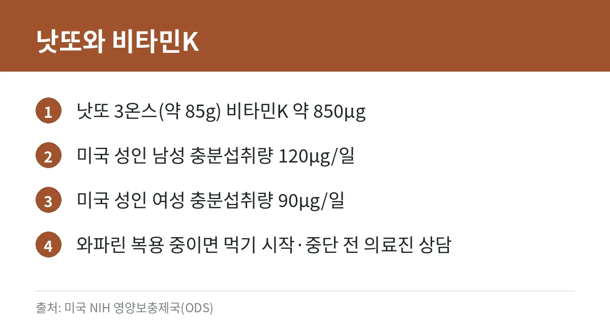 낫또 효능, 근거로 확인하기: 나토키나제 기능성 인정 내용과 임상 결과, 비타민K·와파린 주의점 3 낫또의 비타민K 함량과 와파린 주의점 카드