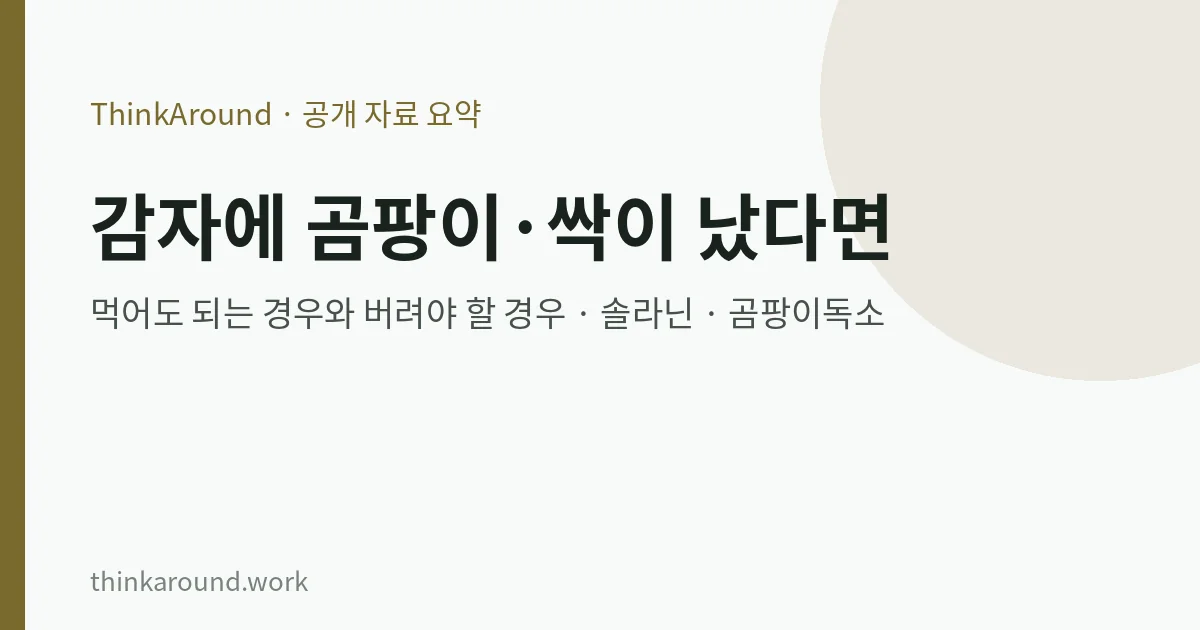 감자에 곰팡이·싹이 났다면: 먹어도 되는 경우와 버려야 할 경우, 솔라닌·곰팡이독소 주의점 3 감자 싹·곰팡이 대처법 요약 이미지