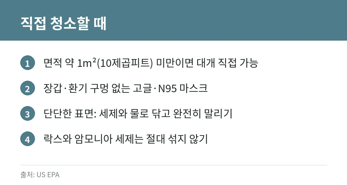 반지하·원룸 곰팡이: 건강에 미치는 영향, 습도 관리와 안전하게 청소하는 법, 세입자가 확인할 것 4 곰팡이 직접 청소 시 안전 수칙 카드