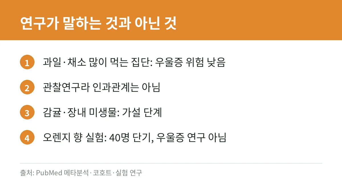 오렌지·과일과 우울감, 연구는 어디까지 말할까: 감귤 섭취와 우울증 위험 연구, 장내 미생물 가설, 향기 연구의 한계와 도움받는 법 2 과일과 우울증 연구 해석 카드