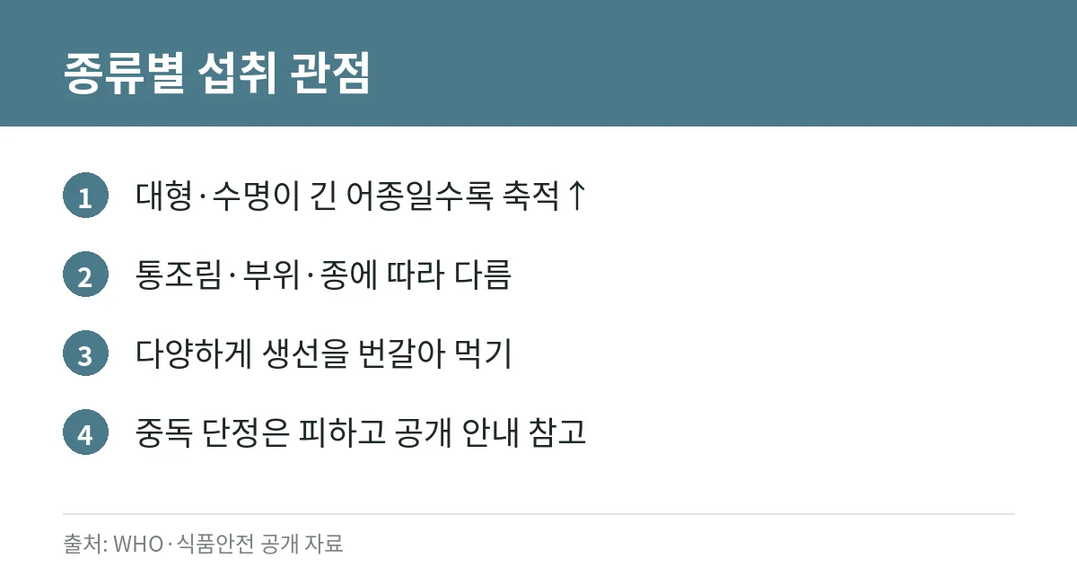 참치와 수은: 종류별 섭취 시 알아 둘 점 3 참치 종류와 수은 카드