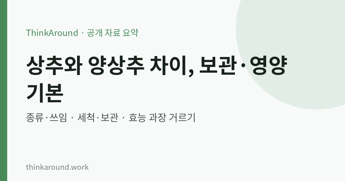 상추와 양상추 차이: 종류·영양·보관의 기본 8 상추와 양상추 차이 요약 이미지