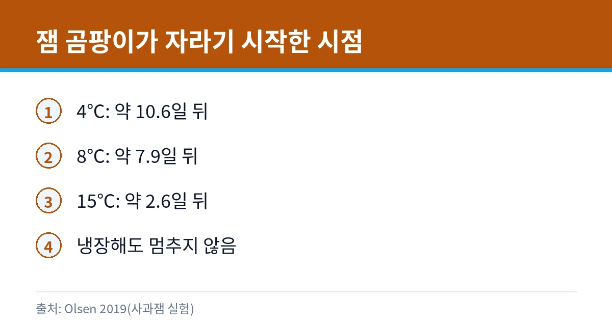 과일청 곰팡이, 걷어내고 먹어도 될까: 유자청·레몬청 보관 3 온도별 잼 곰팡이 성장 시작 시점 카드