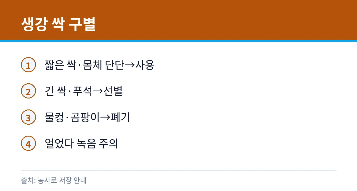 생강 싹 상태 구별 카드
