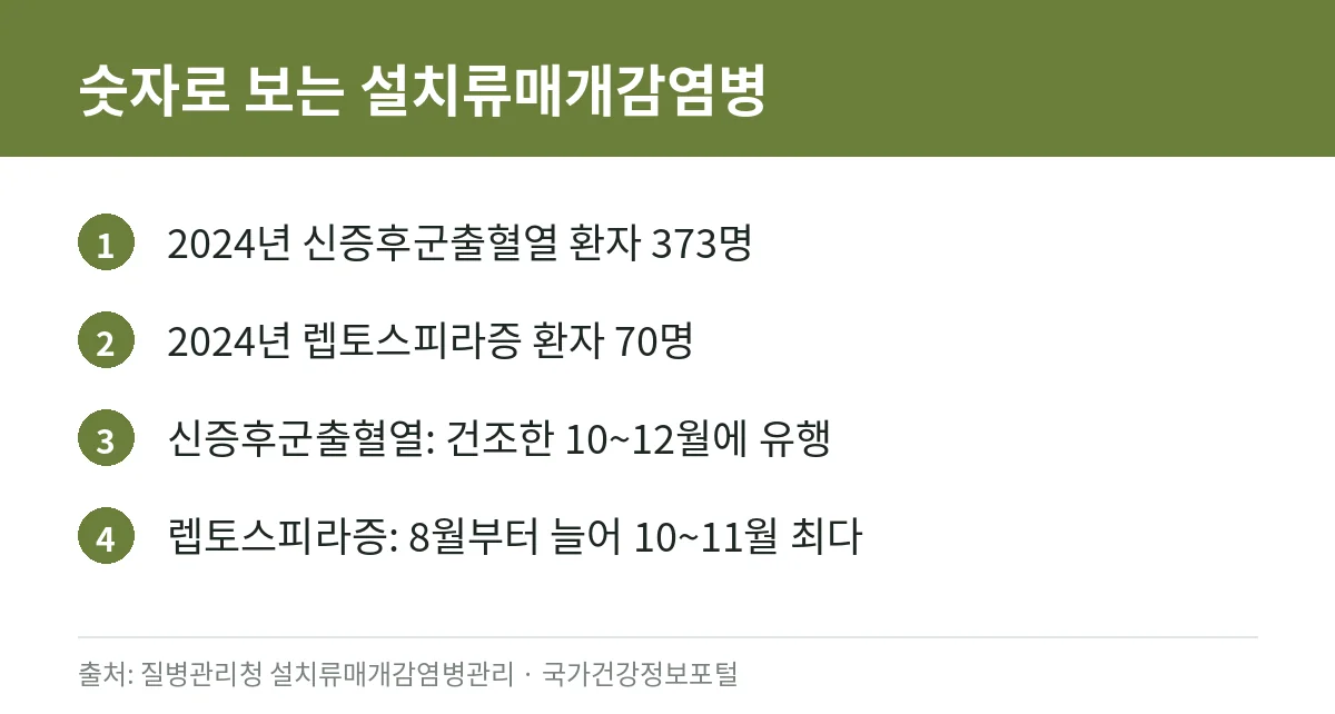 신증후군출혈열·렙토스피라증 증상과 예방수칙: 가을철 쥐가 옮기는 감염병 정리 (질병관리청 자료) 2 2024년 신증후군출혈열과 렙토스피라증 환자 수와 유행 시기를 정리한 카드