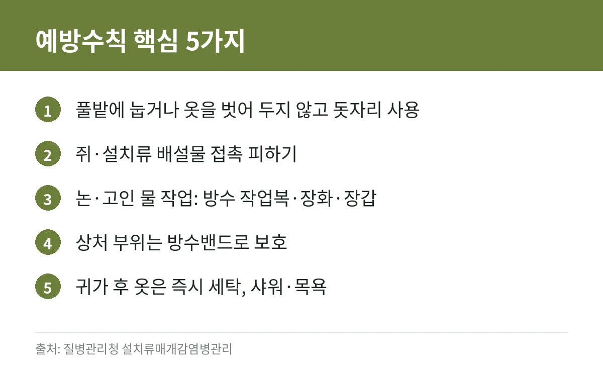 신증후군출혈열·렙토스피라증 증상과 예방수칙: 가을철 쥐가 옮기는 감염병 정리 (질병관리청 자료) 4 신증후군출혈열과 렙토스피라증 예방수칙 5가지를 정리한 카드