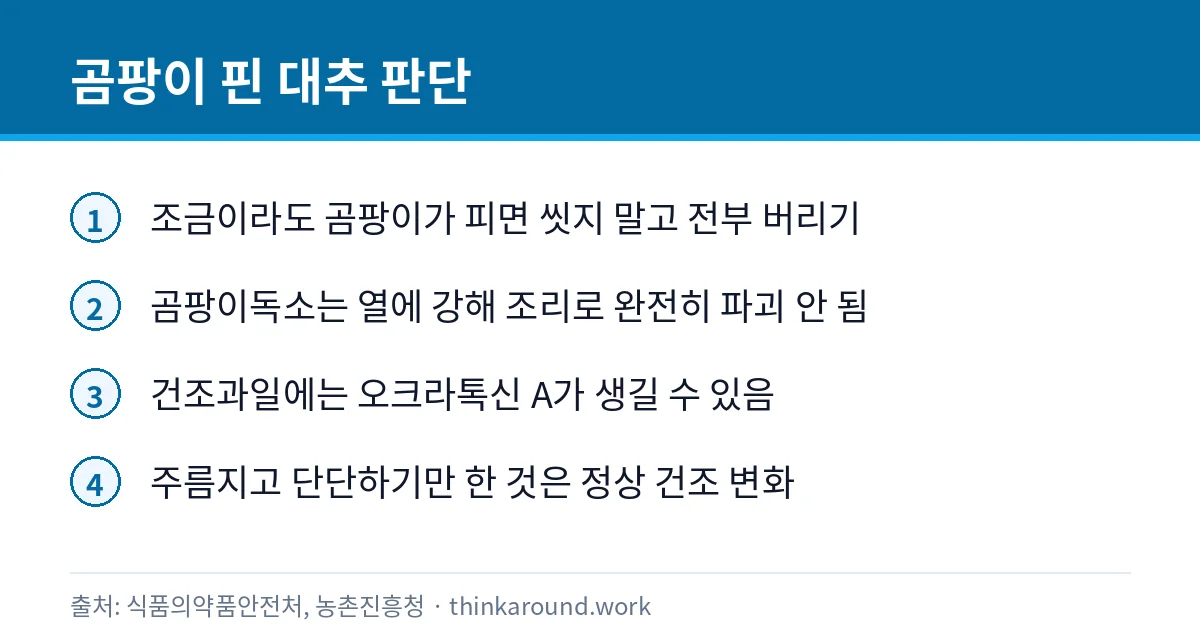 대추 곰팡이 핀 건 먹어도 될까: 생대추·말린 대추 보관법 2 곰팡이 핀 대추를 버려야 하는 이유와 정상 상태를 정리한 카드