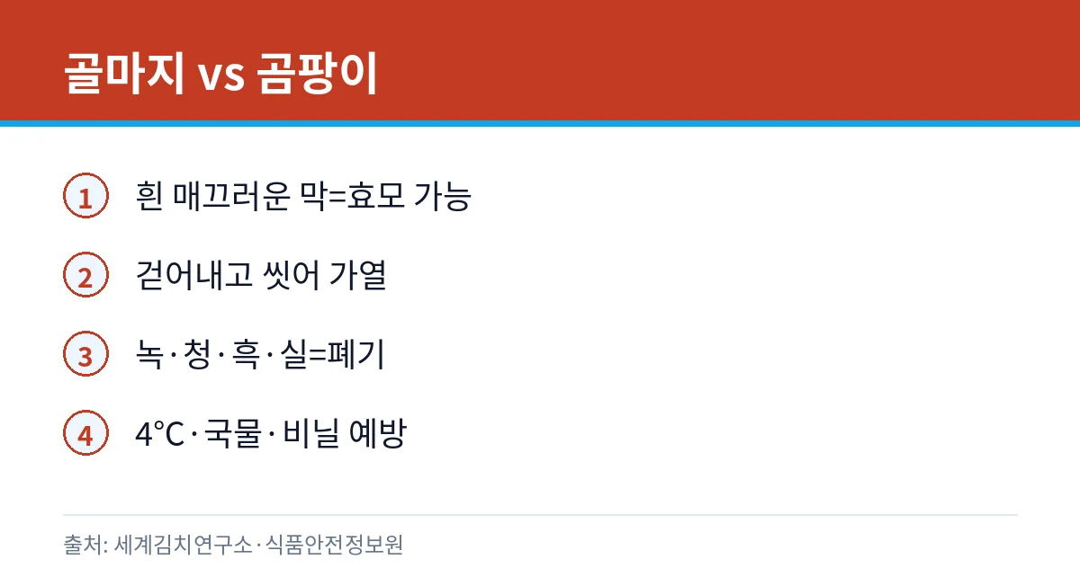 김치 골마지 구별 카드