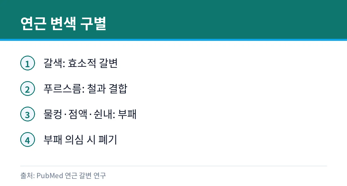 연근 검게 변하면 먹어도 될까: 갈변·보관 2 연근 변색 유형 구별 카드