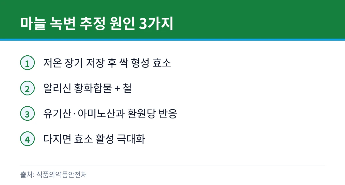 마늘 녹변 원인 카드
