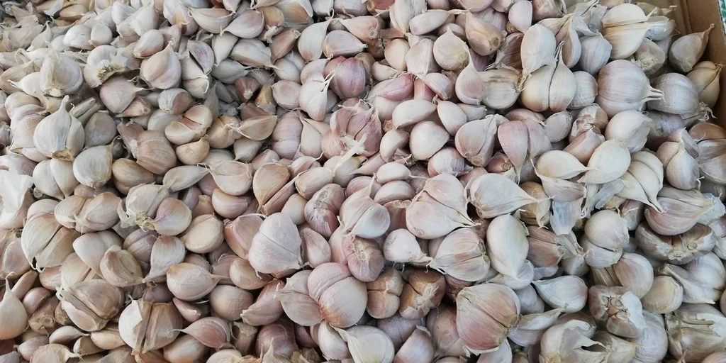 껍질을 벗긴 마늘 쪽
