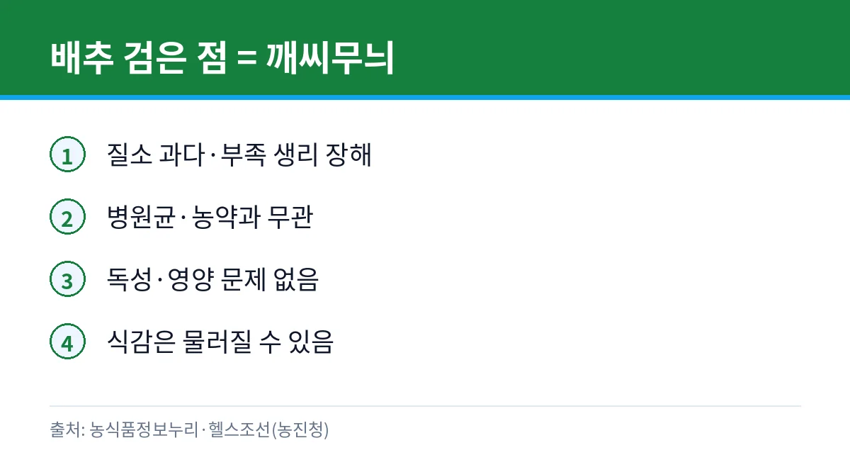 배추 깨씨무늬 설명 카드