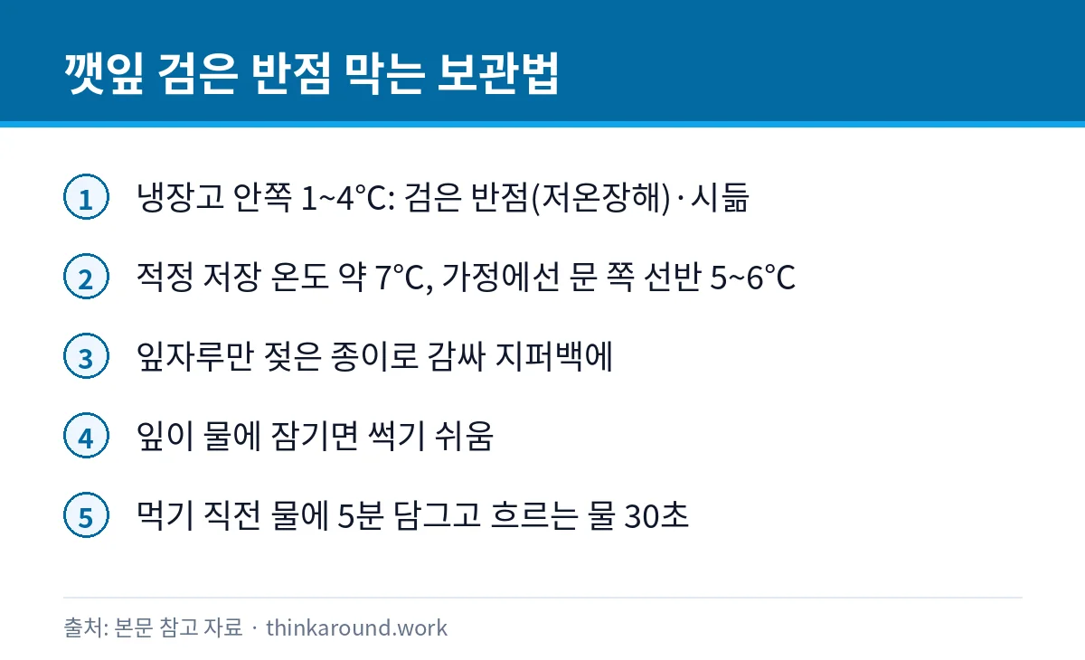 깻잎 검은 반점의 원인과 냉장 보관 요령, 세척법을 정리한 카드