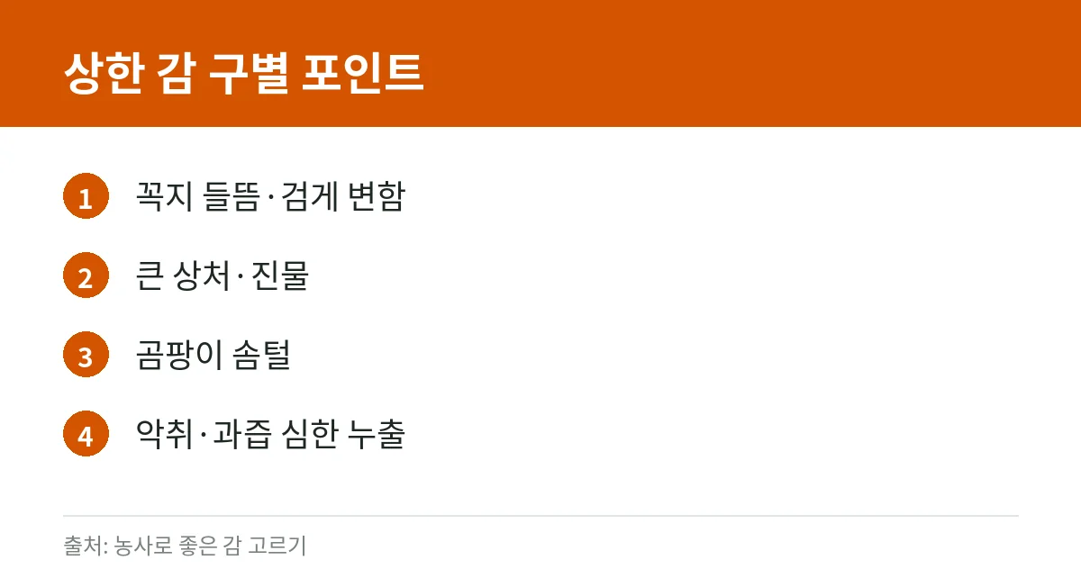홍시·감이 상했는지 구별: 먹어도 될까, 보관·냉동 방법은 3 상한 홍시·감 구별 체크 카드