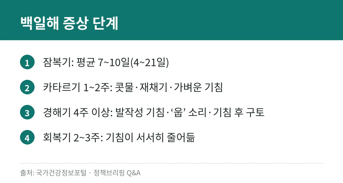 백일해 증상과 감기 구별: 2주 넘는 발작성 기침, 영아 보호를 위한 Tdap 접종 대상 (질병관리청 자료) 2 백일해의 잠복기, 카타르기, 경해기, 회복기별 기간과 증상을 정리한 카드