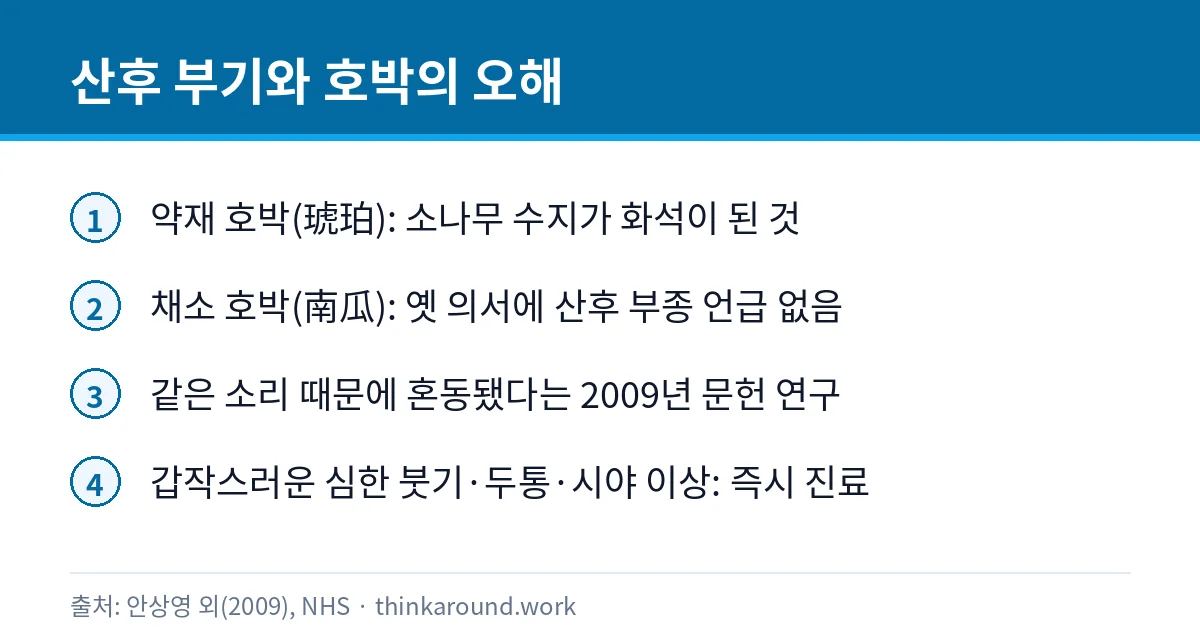 호박즙 부작용 있을까: 칼륨·신장질환과 산후 부기 오해 4 약재 호박과 채소 호박의 차이와 산후 위험 신호를 정리한 카드