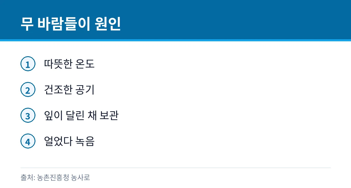 무에 바람이 드는 원인 카드