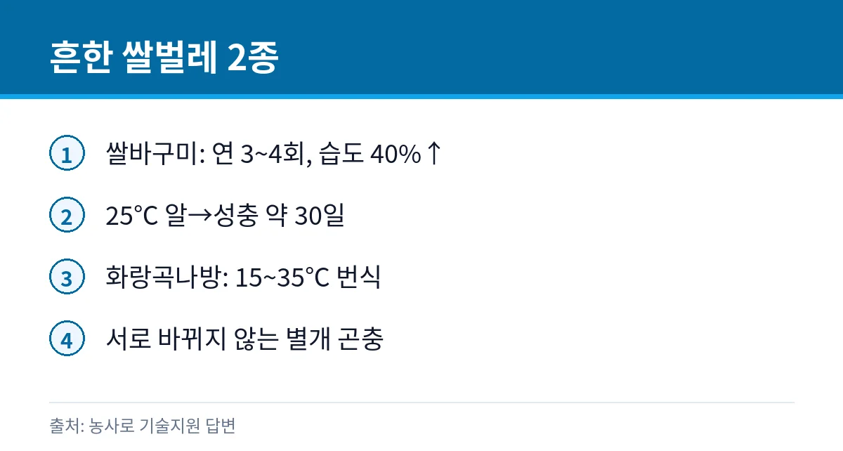 쌀바구미와 화랑곡나방 비교 카드