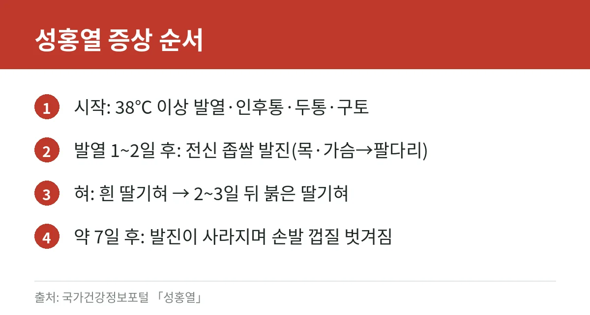 성홍열 증상과 등원 기준: 딸기혀·좁쌀 발진, 항생제 치료 후 24시간 격리 (질병관리청 자료) 3 성홍열 증상이 발열에서 발진, 딸기혀, 피부 벗겨짐으로 이어지는 순서를 정리한 카드