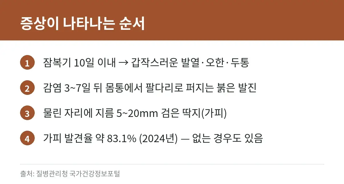 쯔쯔가무시증 잠복기, 발진, 가피 등 증상 순서를 정리한 카드