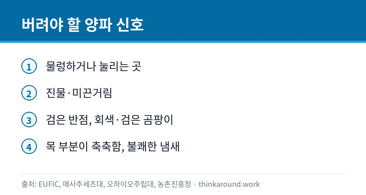 양파 싹 나면 먹어도 될까: 싹 난 양파와 검은 곰팡이 구별 4 버려야 할 양파의 변질 신호를 정리한 카드