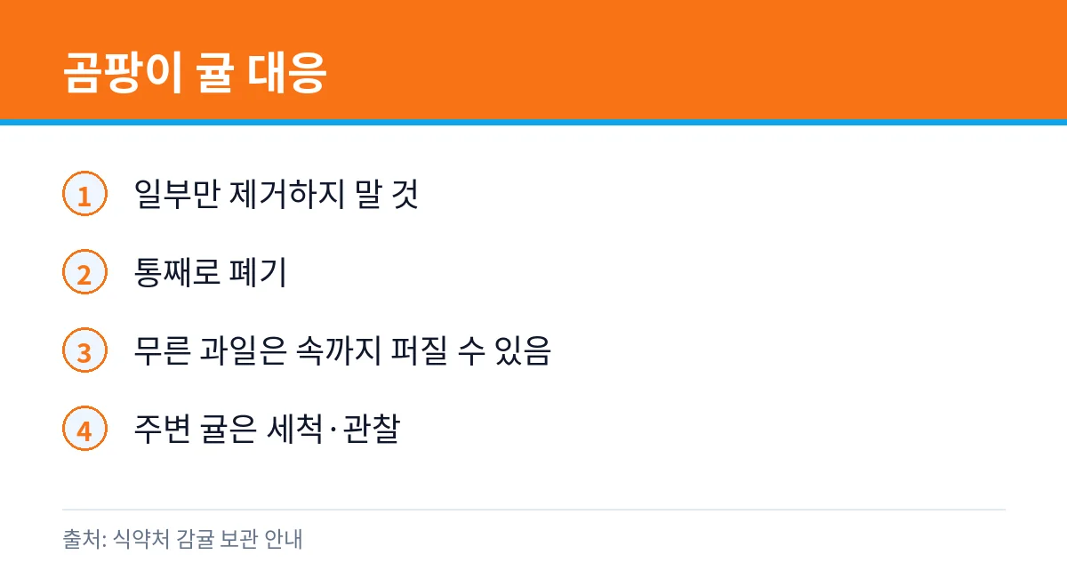 귤 곰팡이 핀 건 먹어도 될까: 보관 온도·밀봉 주의 2 감귤 곰팡이 폐기 안내 카드