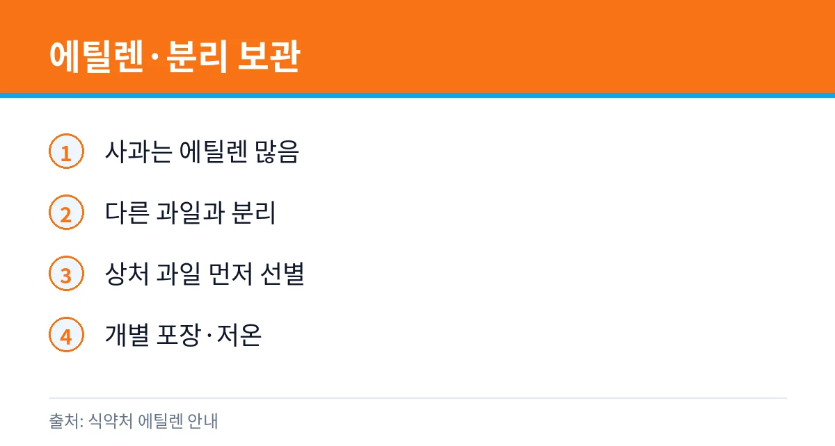 귤 곰팡이 핀 건 먹어도 될까: 보관 온도·밀봉 주의 5 사과·감귤 분리 보관 카드