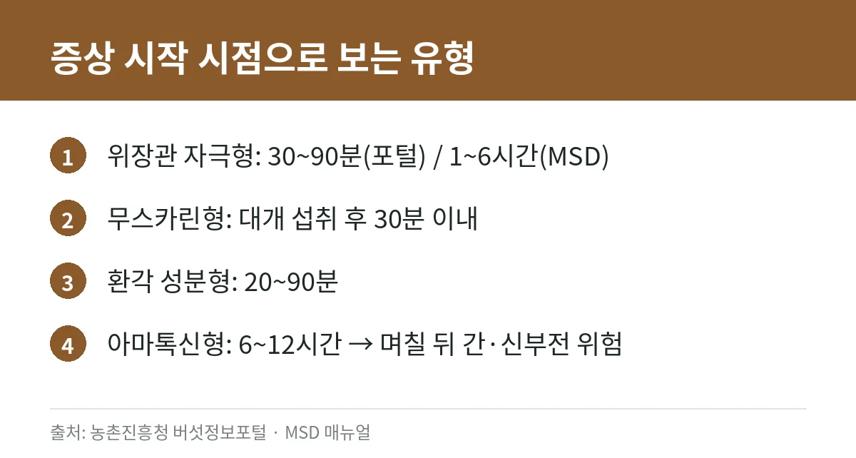 독버섯 중독 증상과 대처법: 가을 야생버섯을 먹으면 안 되는 이유 (산림청·농진청 자료 정리) 4 독버섯 중독 유형별로 증상이 시작되는 시점을 정리한 카드