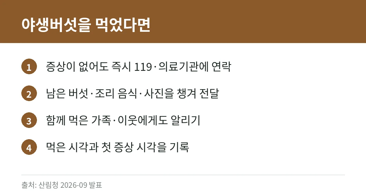 독버섯 중독 증상과 대처법: 가을 야생버섯을 먹으면 안 되는 이유 (산림청·농진청 자료 정리) 5 야생버섯을 먹은 뒤 해야 할 대처 순서를 정리한 카드