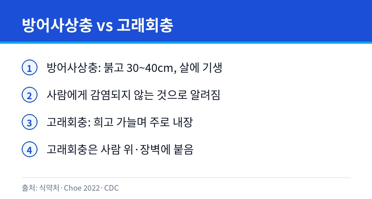 방어회 속 붉은 실 같은 기생충, 먹어도 될까: 방어사상충 2 방어사상충과 고래회충 비교 카드